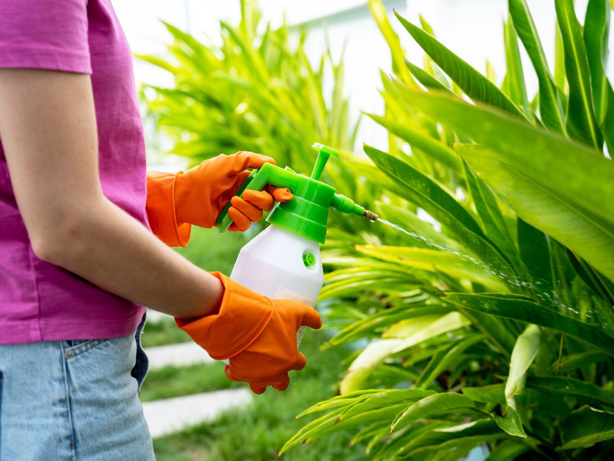 Young woman caring for plants using consumer-grade fertilizer products in a home garden