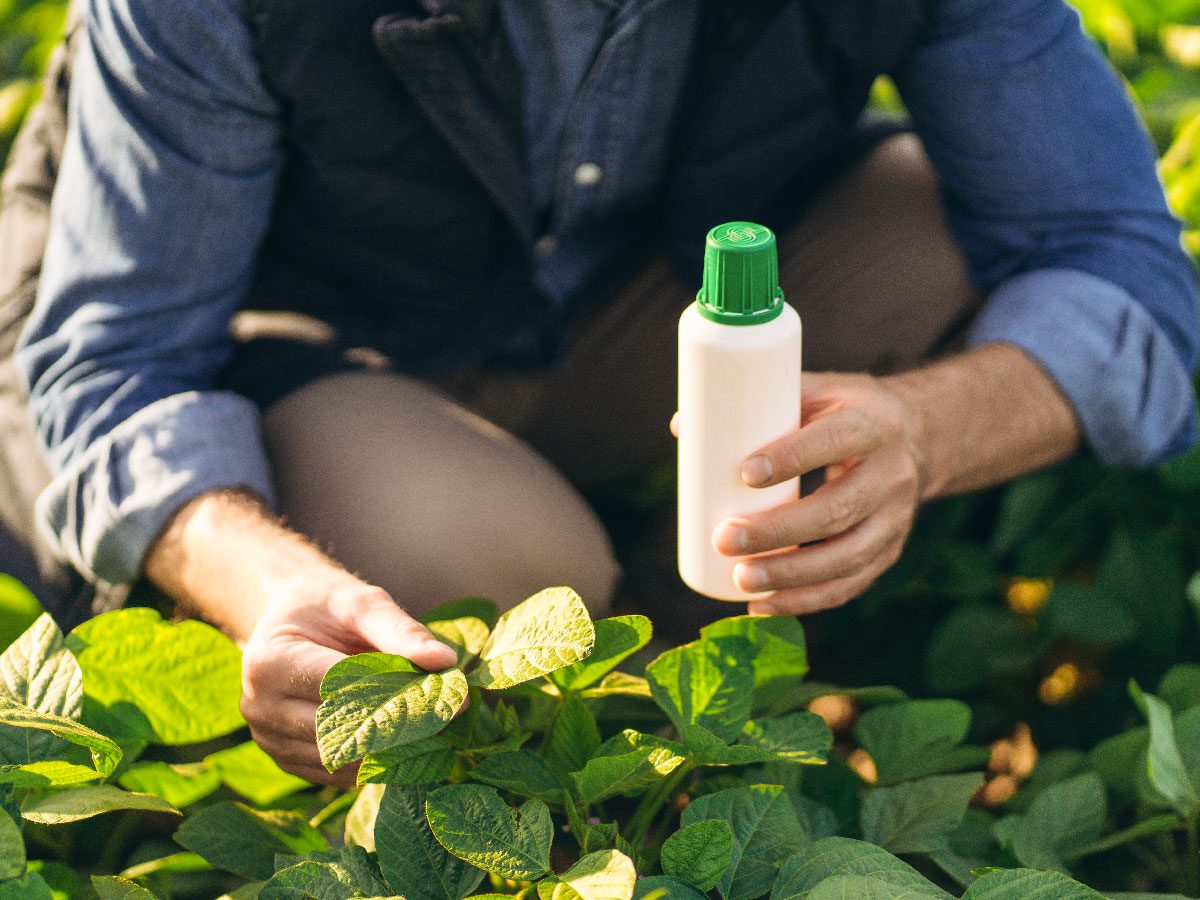 Farmer examining soybean crop using private-label consumer agricultural products