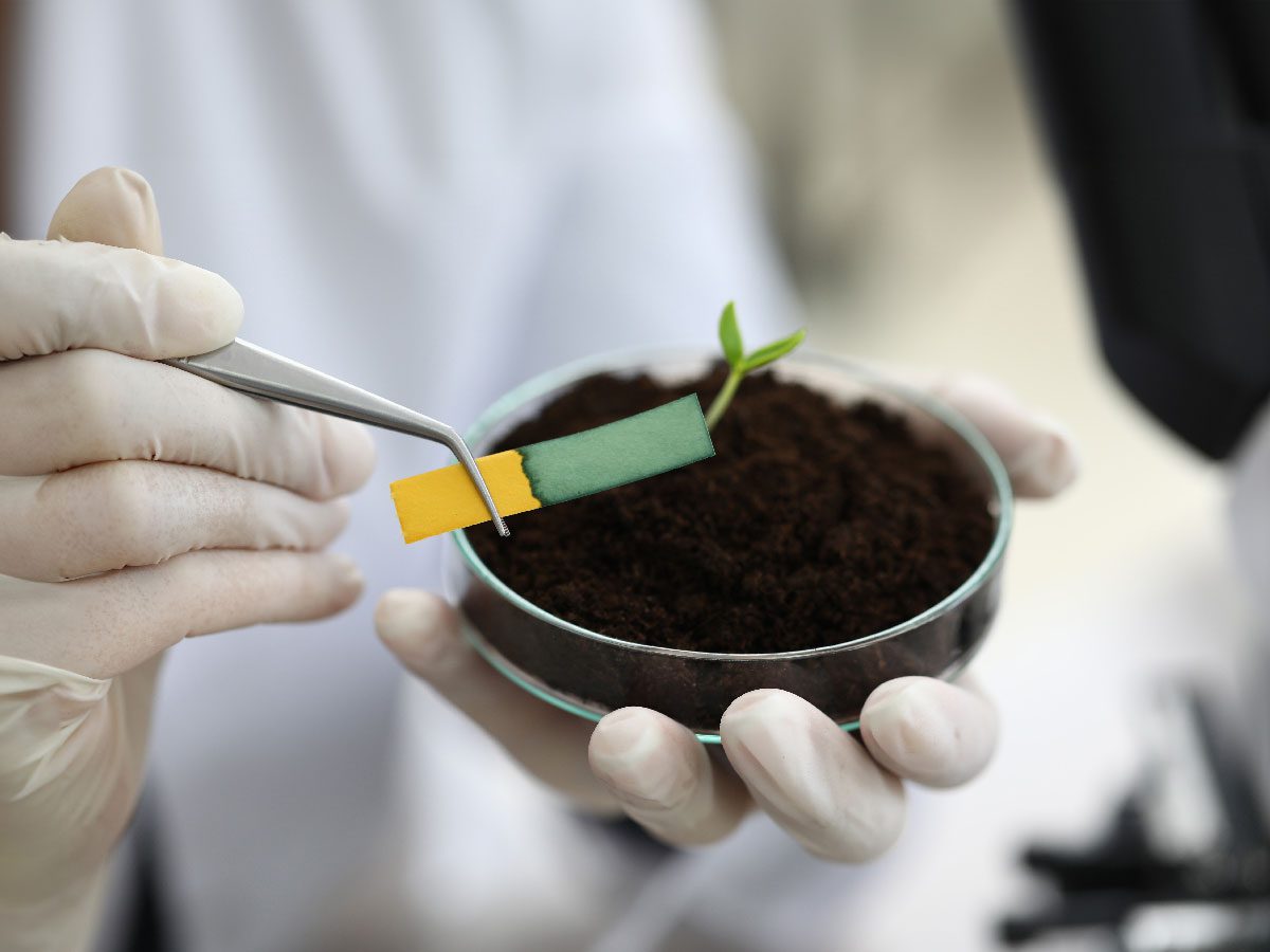 Laboratory assistant conducting chemical testing during formulation development